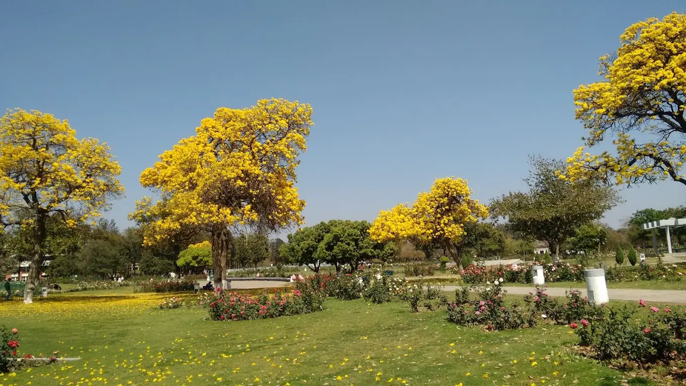 Rose Garden (Zakir Hussain Rose Garden)